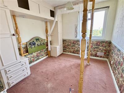 Picture 7